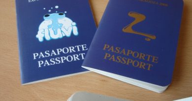 Pasaporte expo 2008