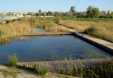 El Parque del Agua ‘Luis Buñuel’, un patrimonio en riesgo
