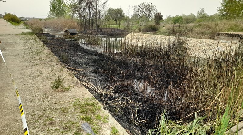 Incendio en el Parque del Agua